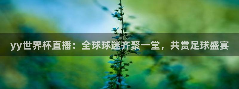 世界杯直播观看：yy世界杯直播：全球球迷齐聚一堂，共赏足球盛宴