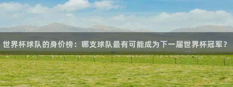 世界杯预选赛亚洲区积分榜：世界杯球队的身价榜：哪支球队最有可能成为下一届世界杯冠军？