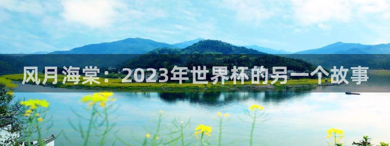 世界杯小组赛赛程：风月海棠：2023年世界杯的另一个故事