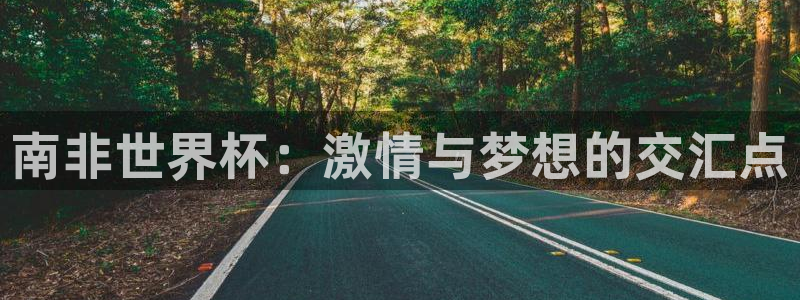世界杯直播平台：南非世界杯：激情与梦想的交汇点