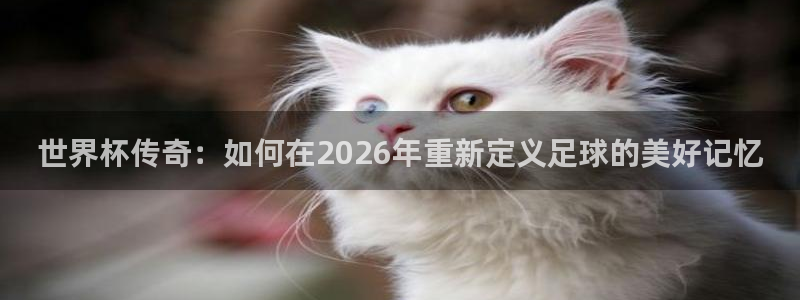 世界杯预选赛亚洲：世界杯传奇：如何在2026年重新定义足球的美好记忆