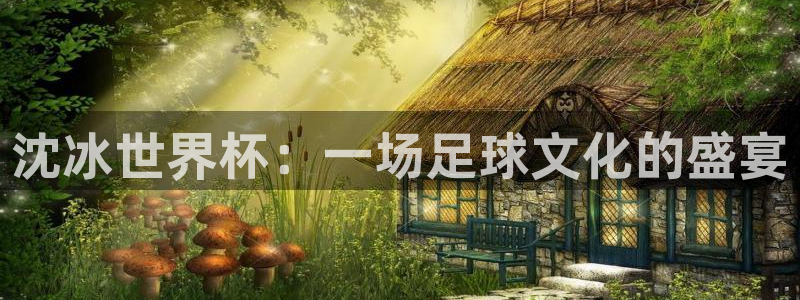 世界杯今日赛程直播：沈冰世界杯：一场足球文化的盛宴