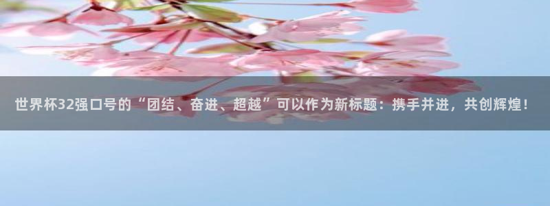2026世界杯买球：世界杯32强口号的“团结、奋进、超越”可以作为新标题：携手并进，共创辉煌！